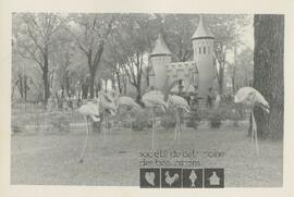 Groupe de six flamants roses se reposent dans un jardin d’acclimatation ou un zoo
