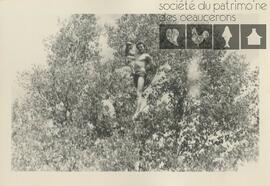 Homme inconnu en maillot de bain, debout dans un arbre